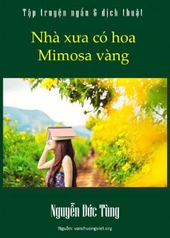 nha-xua-co-hoa-mimosa-vang